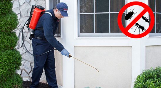 Soma Kene İlaçlama böcek ilaçlama ve haşere kontrolü — ilaclama-tr.com